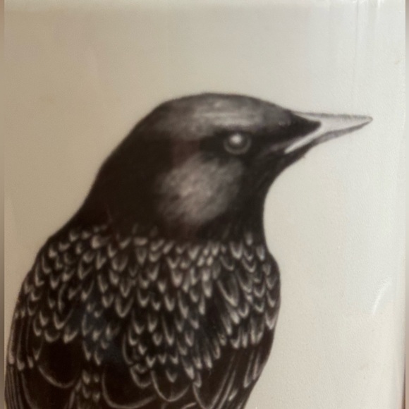 Anthropologie Laura Zindel Crow Vase - Picture 2 of 3